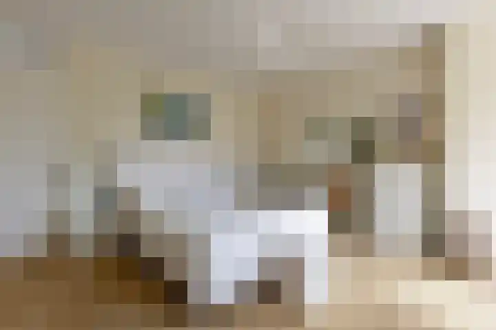 Het Hof van Rolde 30 Rolde thumbnail 26
