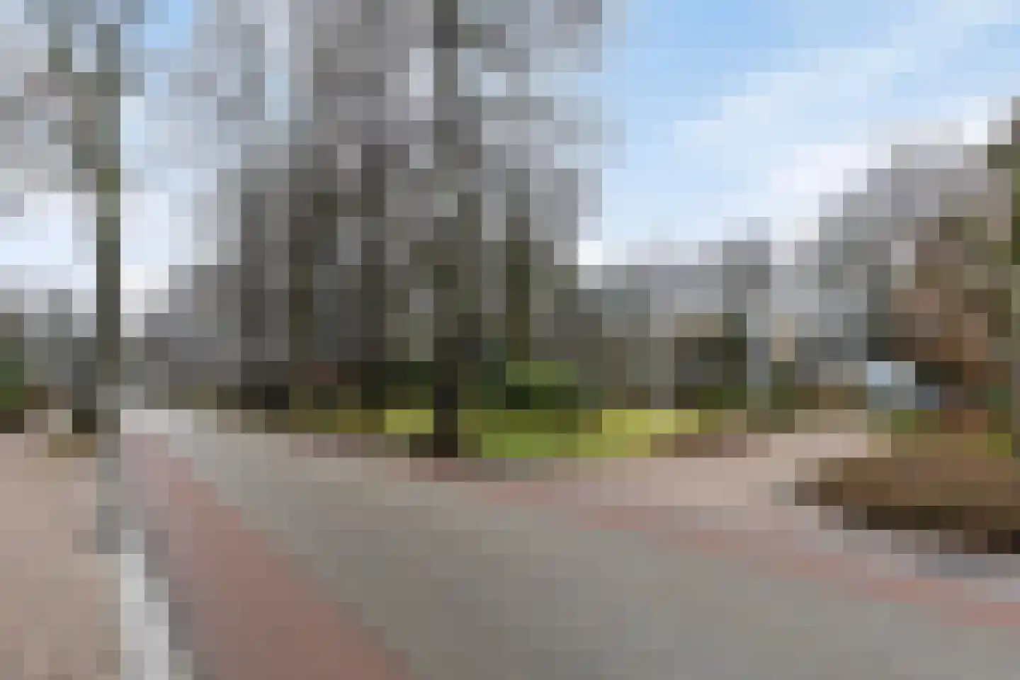Het Hof van Rolde 30 Rolde thumbnail 39