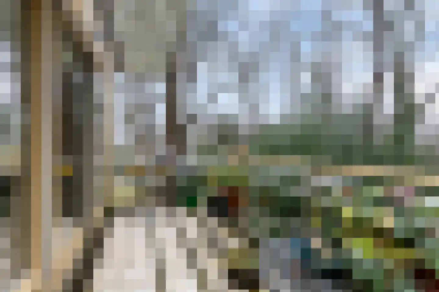 Het Hof van Rolde 30 Rolde thumbnail 4