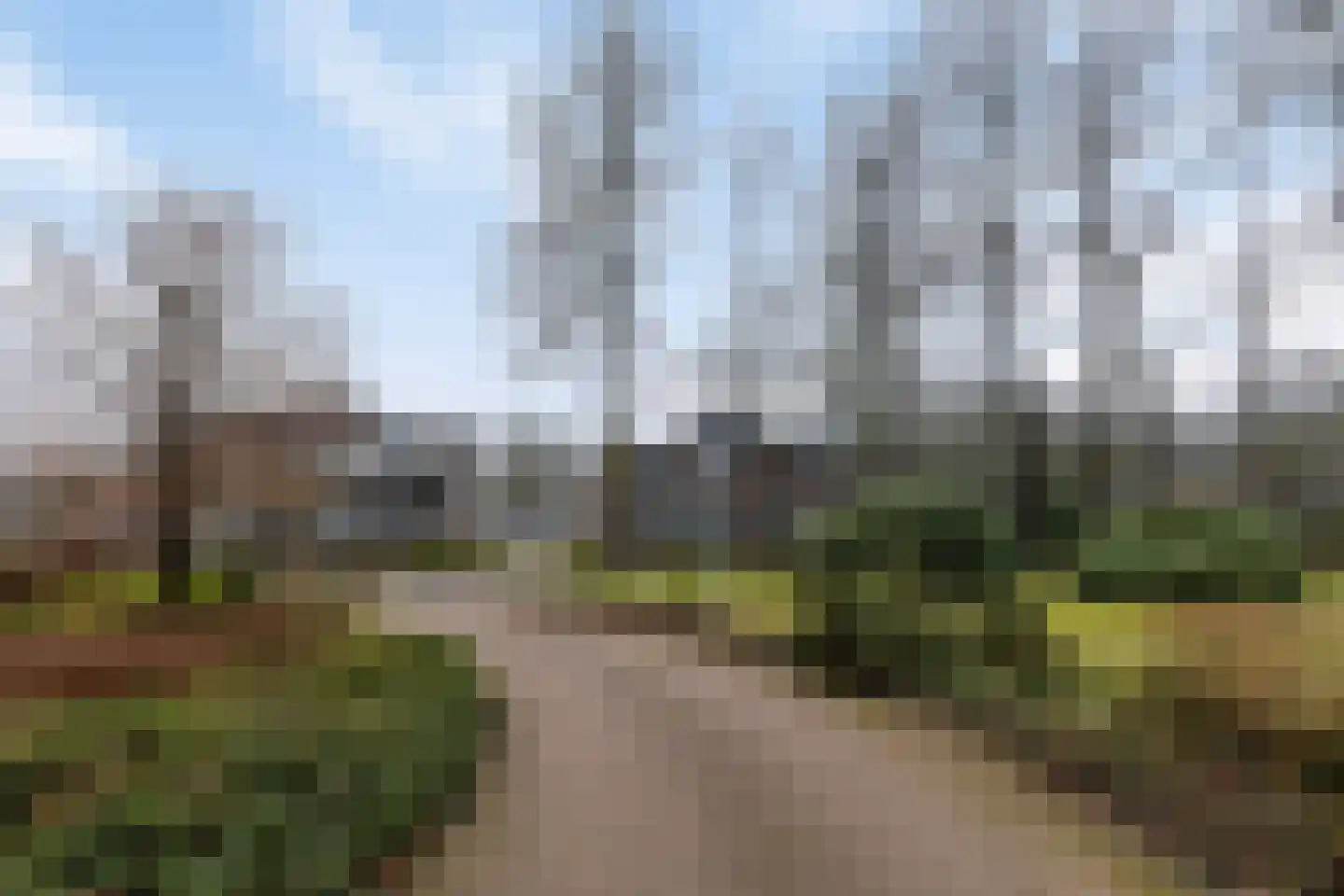 Het Hof van Rolde 30 Rolde thumbnail 41