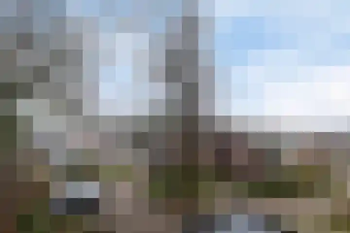 Het Hof van Rolde 30 Rolde thumbnail 42