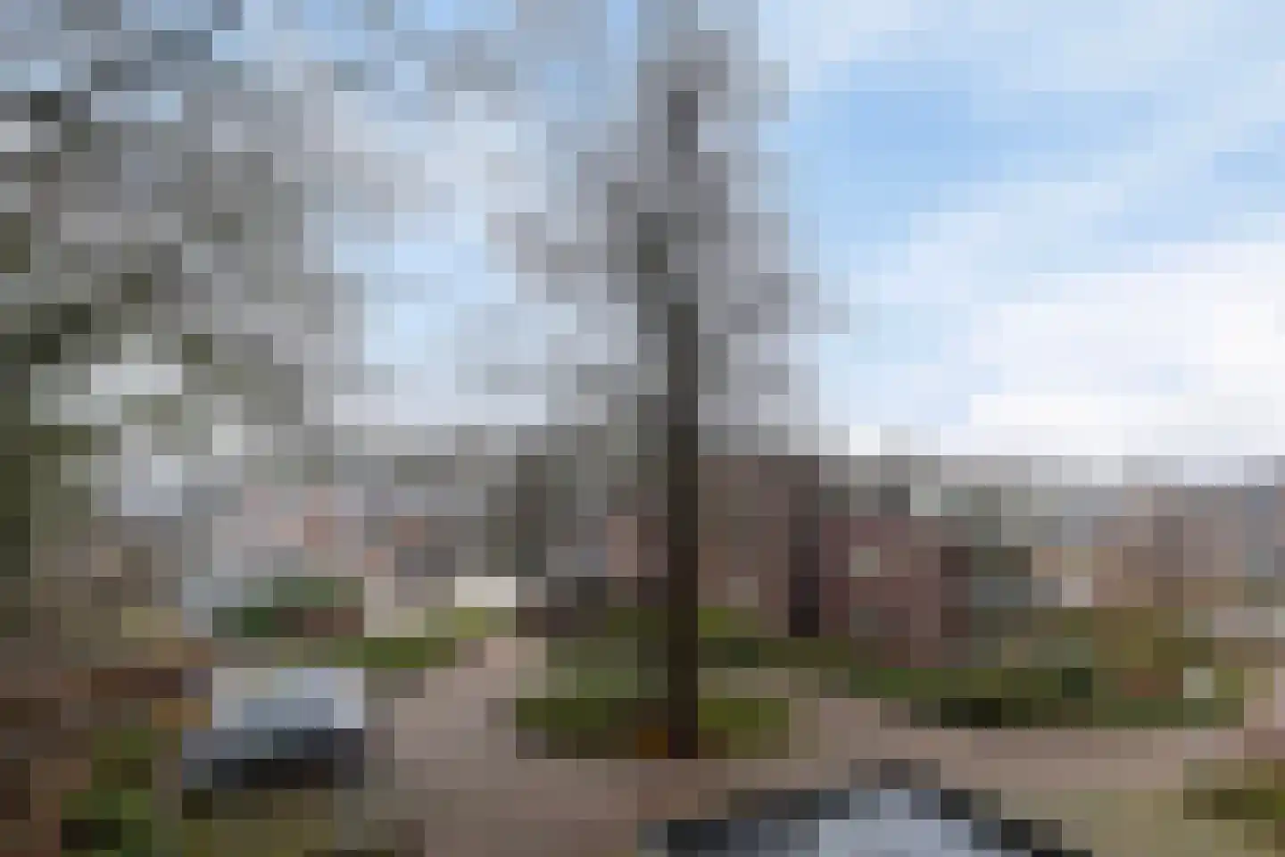 Het Hof van Rolde 30 Rolde thumbnail 42