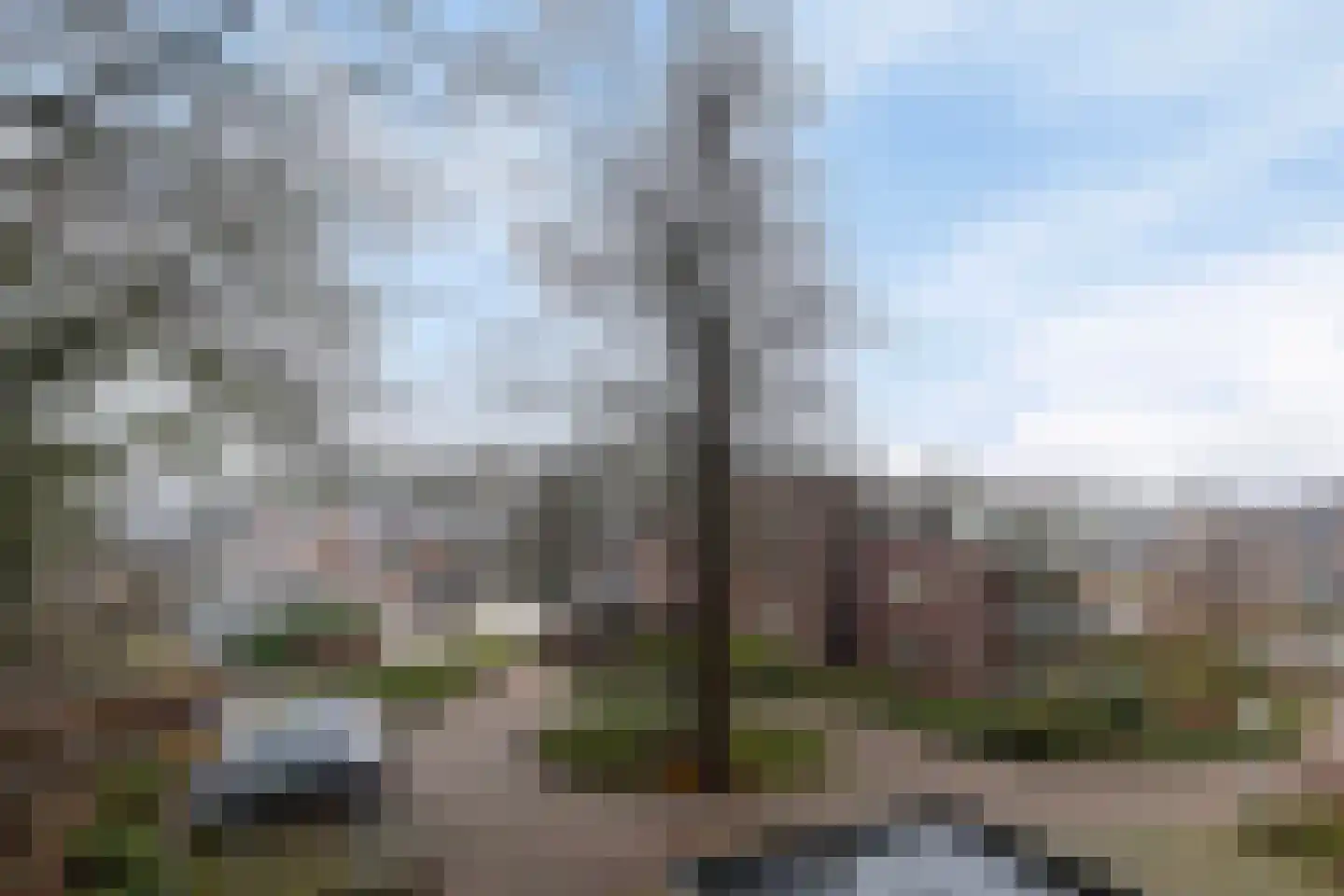 Het Hof van Rolde 30 Rolde thumbnail 43