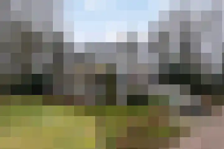 Het Hof van Rolde 30 Rolde thumbnail 6
