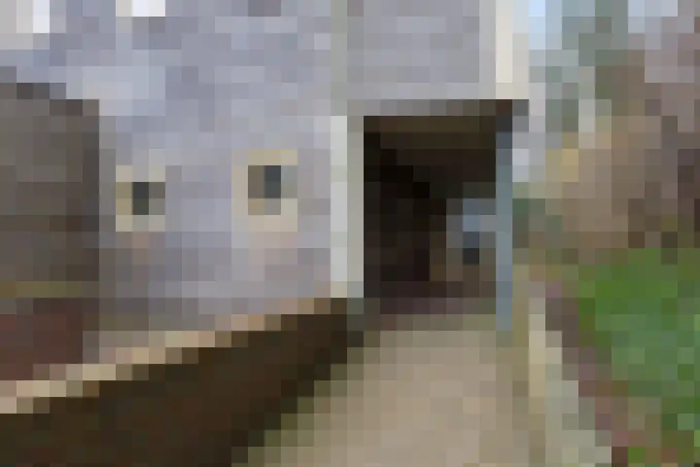 Het Hof van Rolde 30 Rolde thumbnail 7
