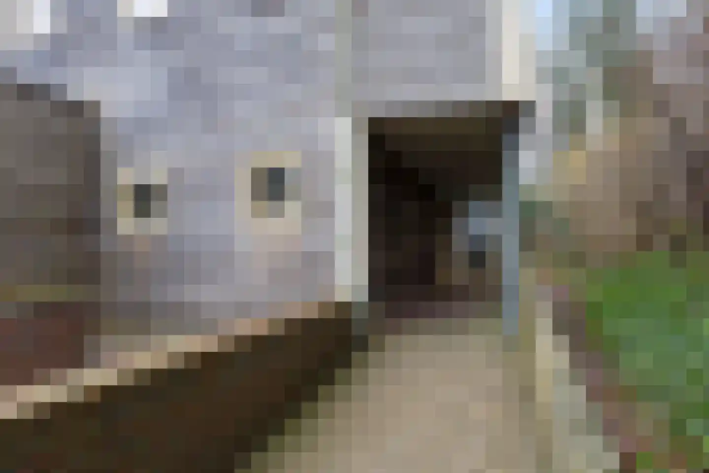 Het Hof van Rolde 30 Rolde thumbnail 8