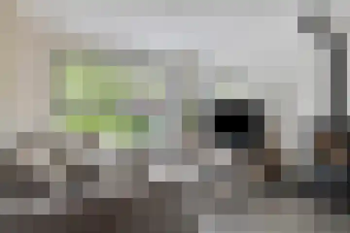 het Hofke 5 Liessel thumbnail 10