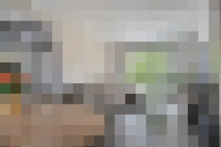 het Hofke 5 Liessel thumbnail 12