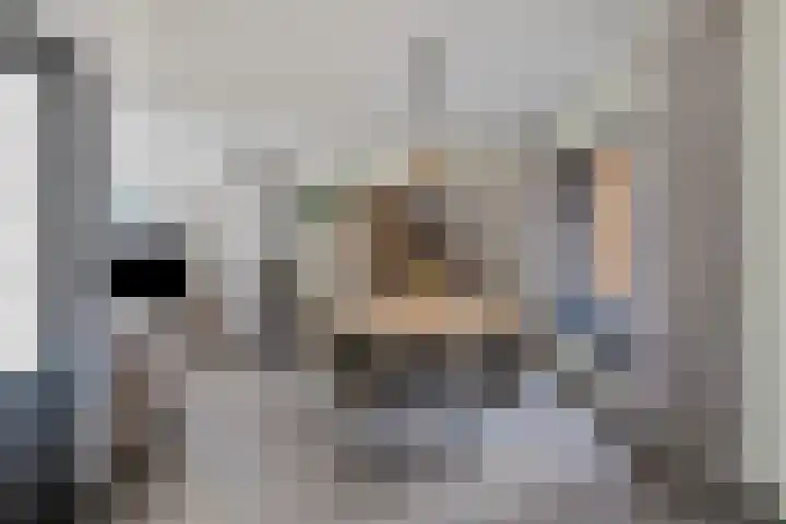 het Hofke 5 Liessel thumbnail 13