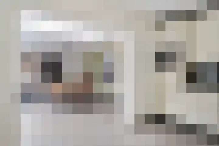 het Hofke 5 Liessel thumbnail 17