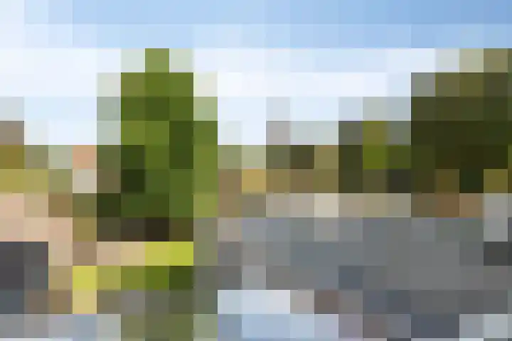 het Hofke 5 Liessel thumbnail 24