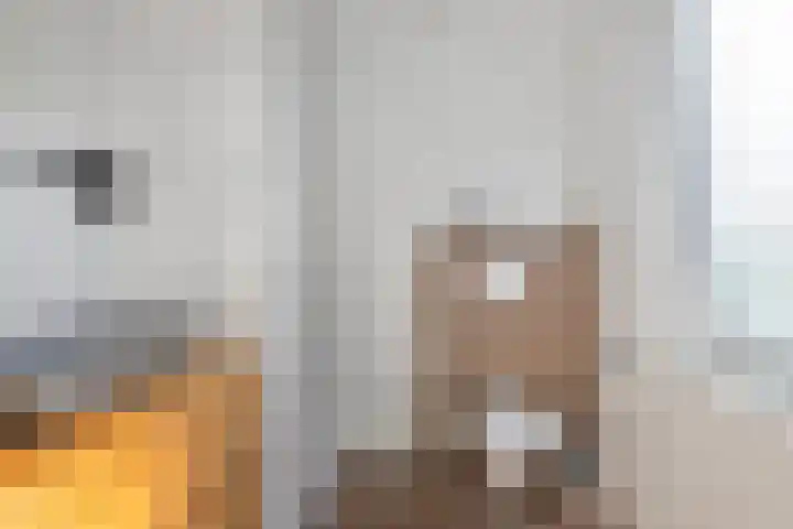 het Hofke 5 Liessel thumbnail 30
