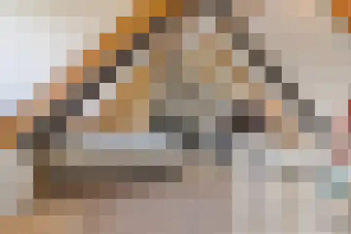 het Hofke 5 Liessel thumbnail 31