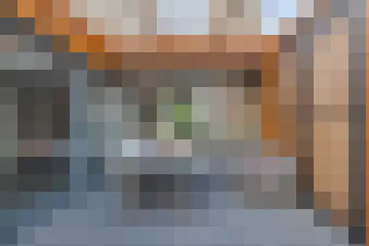 het Hofke 5 Liessel thumbnail 34