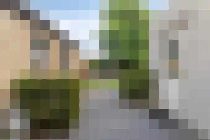 het Hofke 5 Liessel thumbnail 35