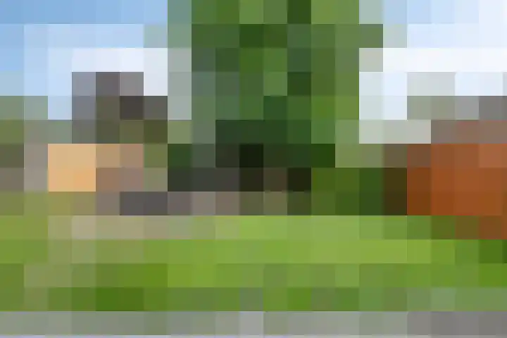 het Hofke 5 Liessel thumbnail 36