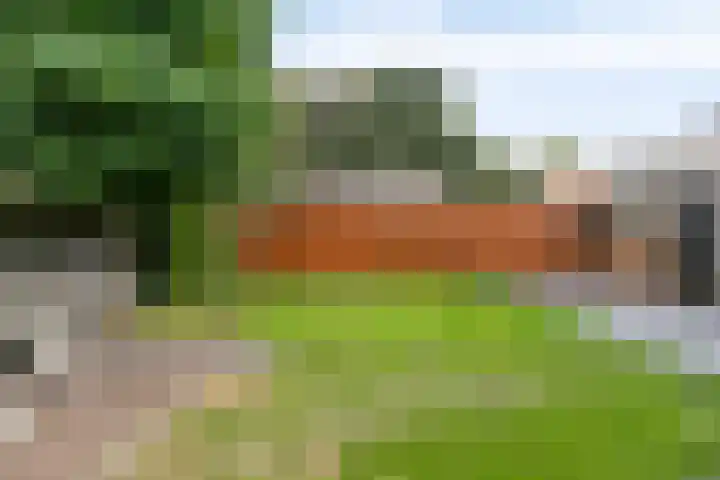 het Hofke 5 Liessel thumbnail 38