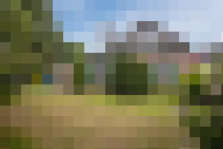 Het Hoge 4 Vorden thumbnail 10
