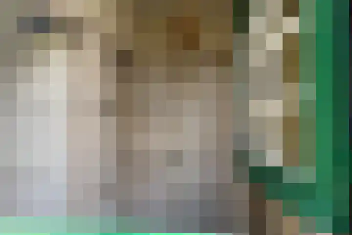Het Hoge 4 Vorden thumbnail 12