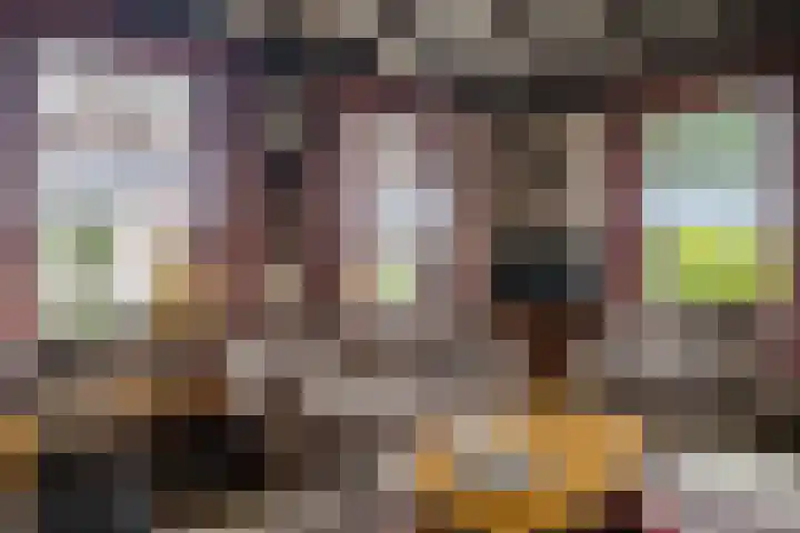 Het Hoge 4 Vorden thumbnail 13