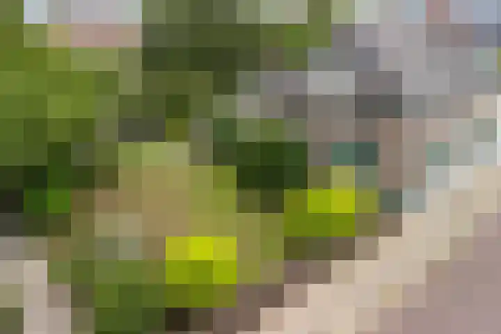 Het Hoge 4 Vorden foto 2