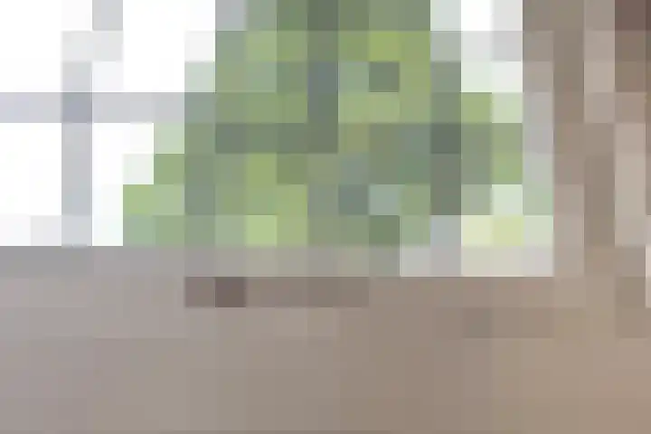 Het Hoge 4 Vorden thumbnail 23