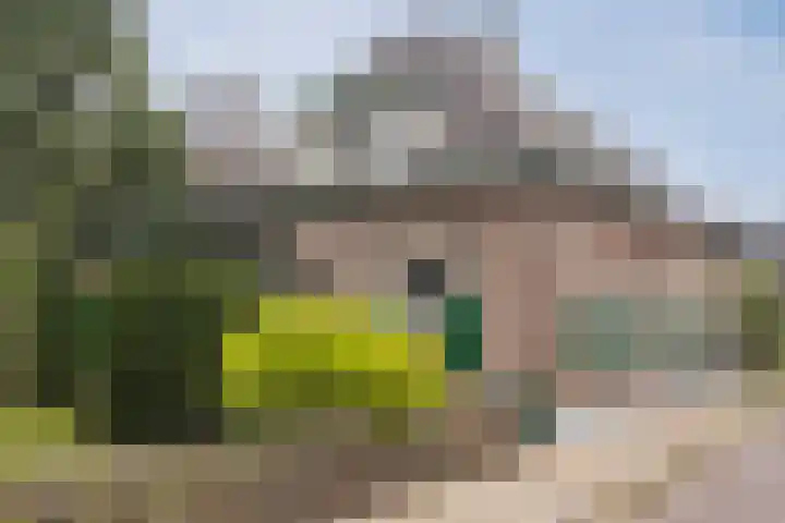 Het Hoge 4 Vorden foto 3