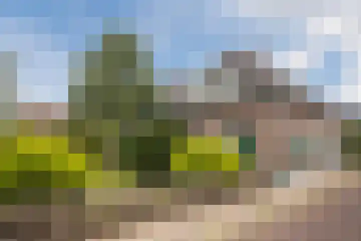 Het Hoge 4 Vorden thumbnail 30