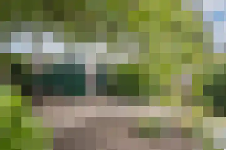 Het Hoge 4 Vorden thumbnail 31