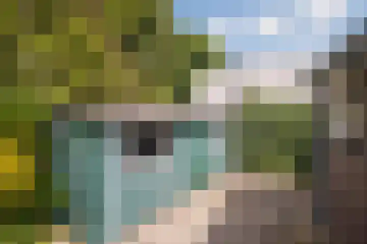 Het Hoge 4 Vorden thumbnail 33
