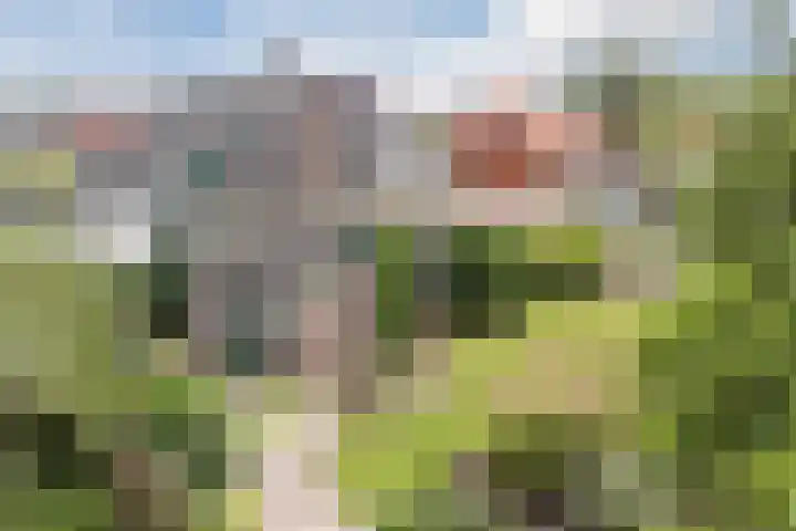 Het Hoge 4 Vorden thumbnail 35