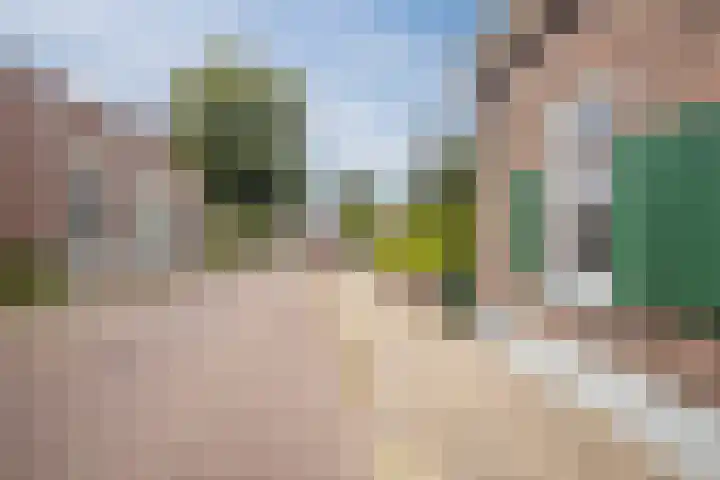 Het Hoge 4 Vorden thumbnail 36