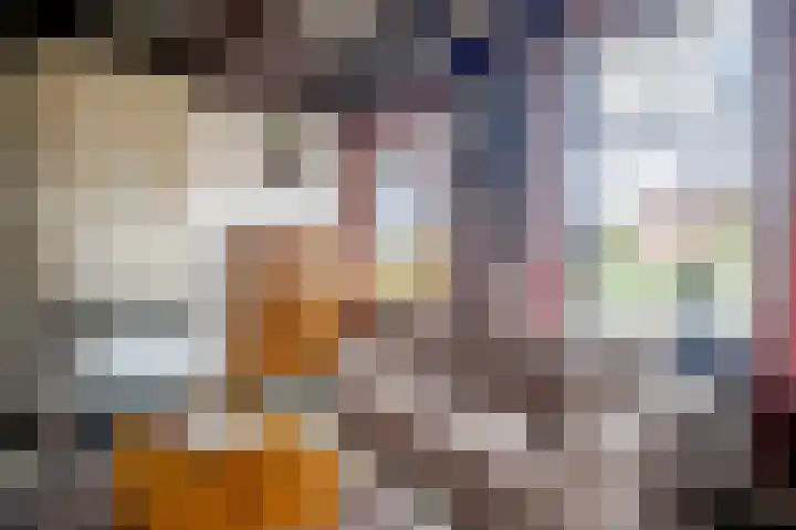 Het Hoge 4 Vorden thumbnail 4