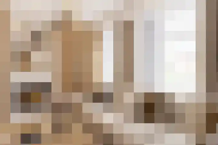 Het Hoge 4 Vorden thumbnail 5