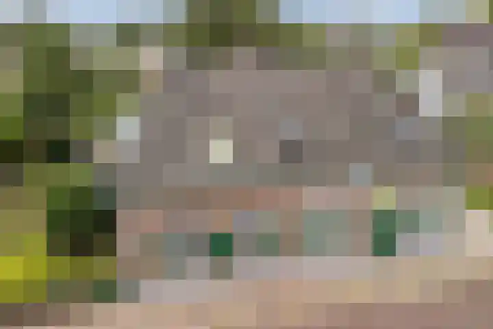 Het Hoge 4 Vorden thumbnail 6
