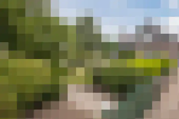Het Hoge 4 Vorden thumbnail 7