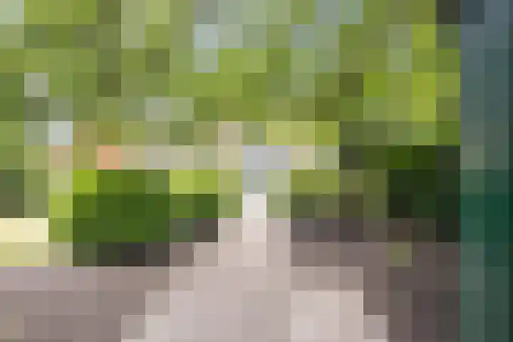 Het Hoge 4 Vorden thumbnail 8