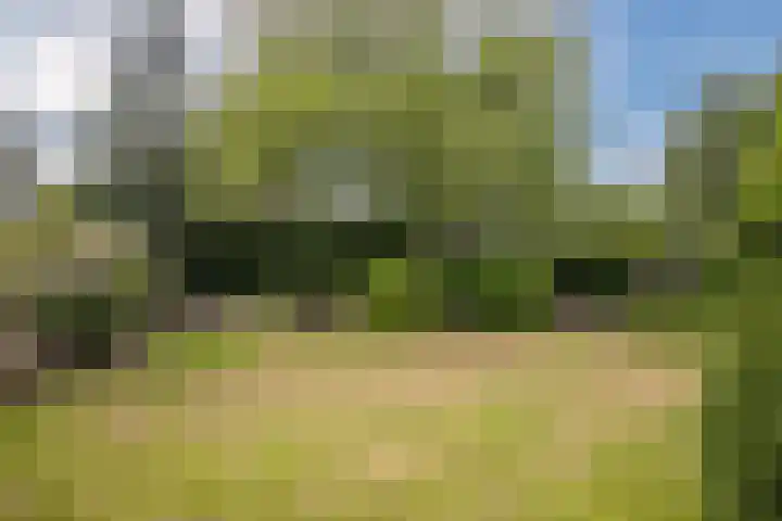 Het Hoge 4 Vorden thumbnail 9