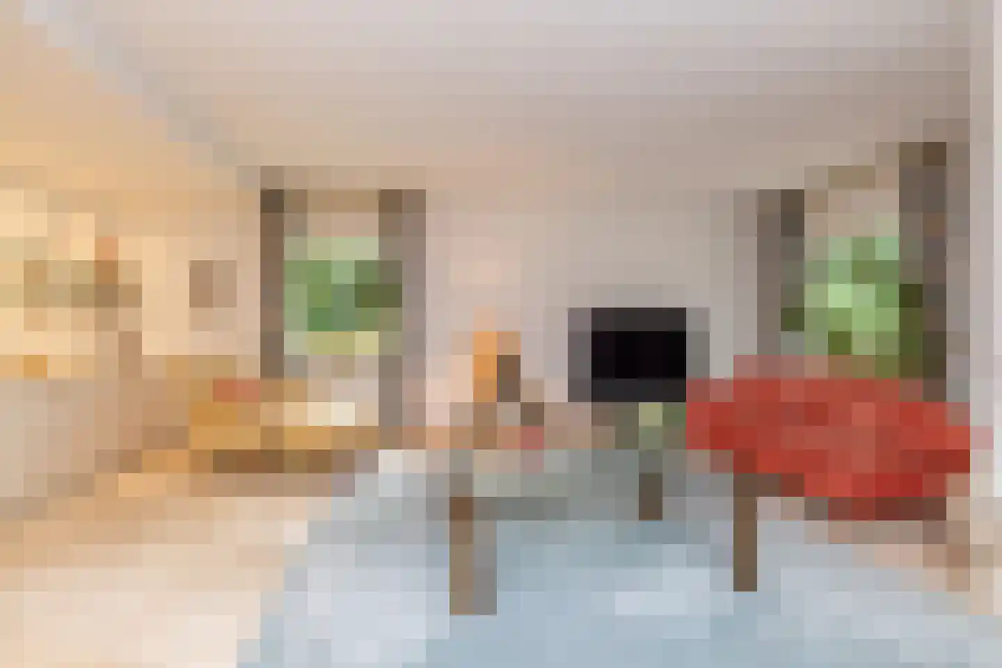 Het Hoge Holt 23 Hoogeveen thumbnail 11