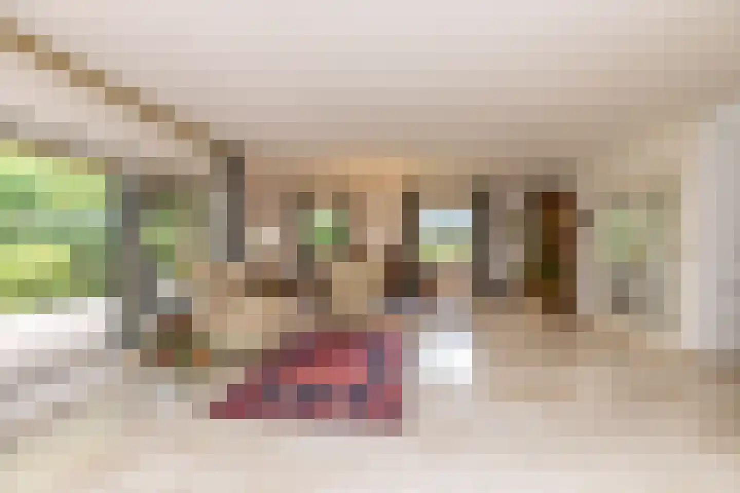Het Hoge Holt 23 Hoogeveen thumbnail 14