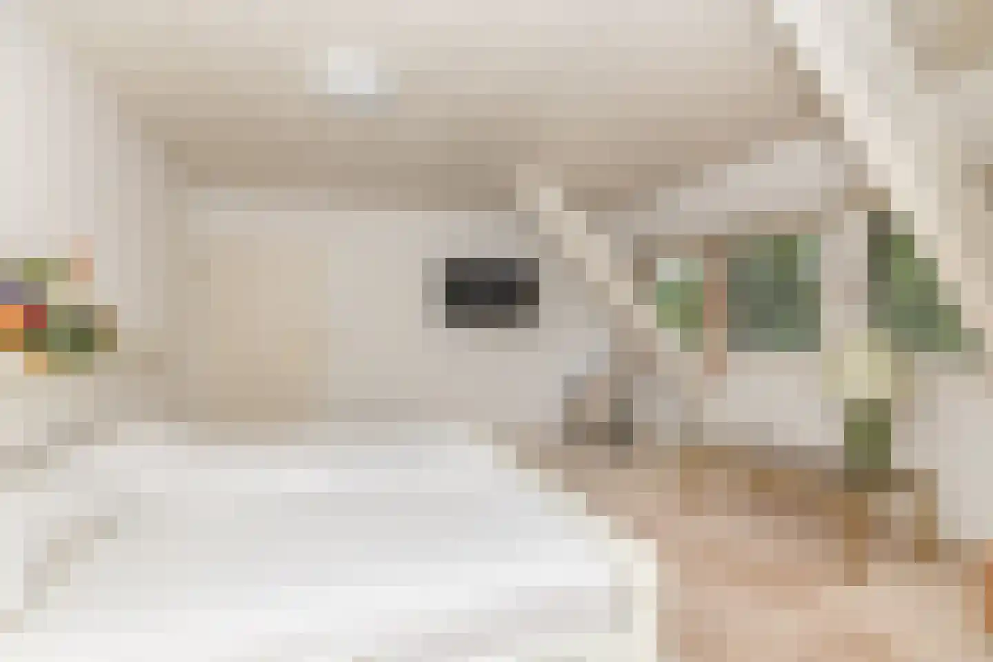 Het Hoge Holt 23 Hoogeveen thumbnail 27