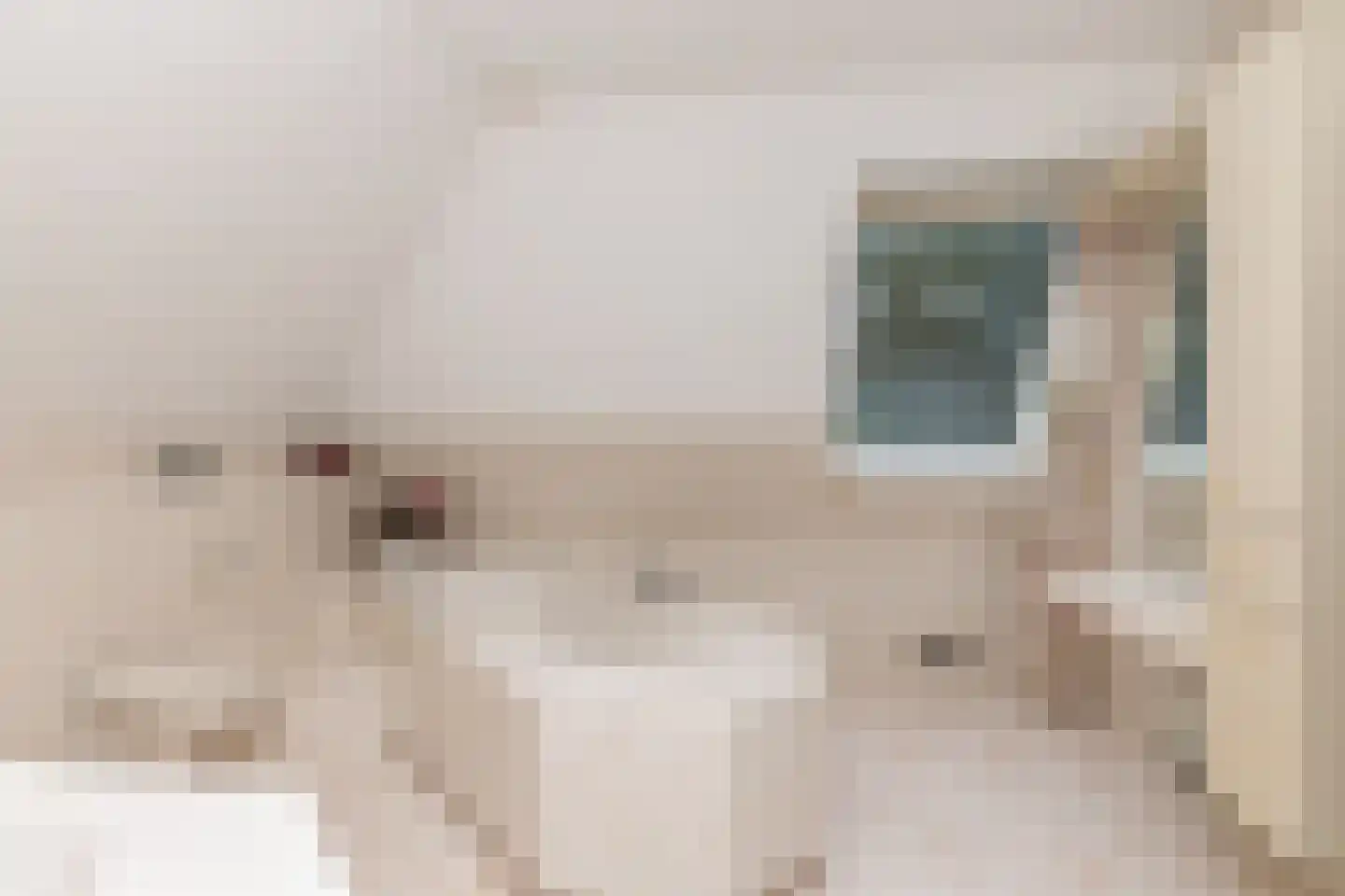 Het Hoge Holt 23 Hoogeveen thumbnail 30