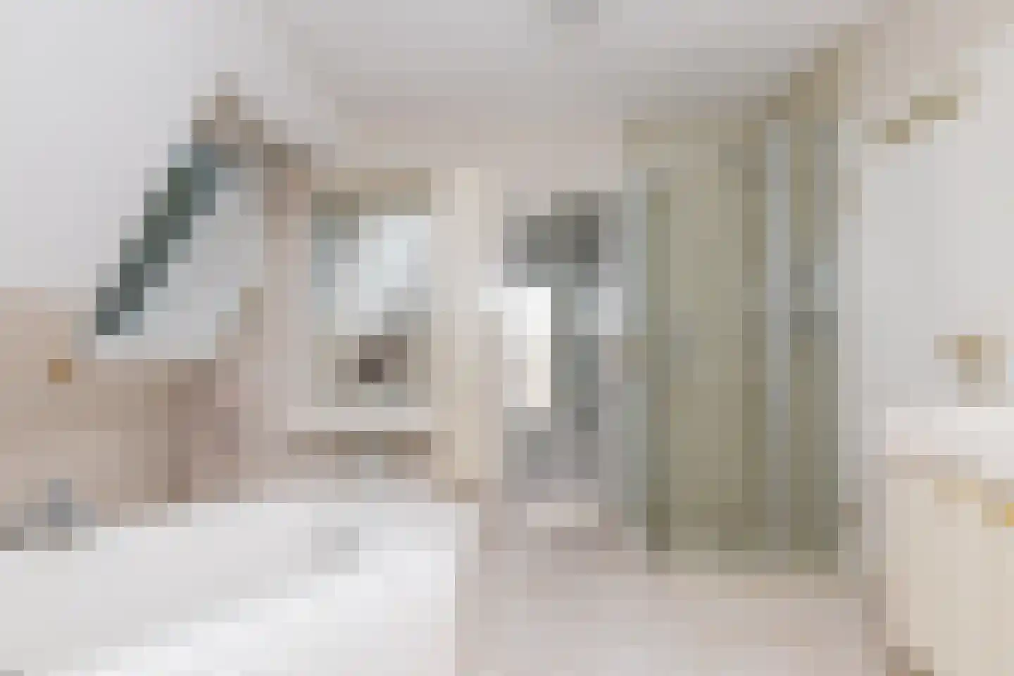 Het Hoge Holt 23 Hoogeveen thumbnail 31