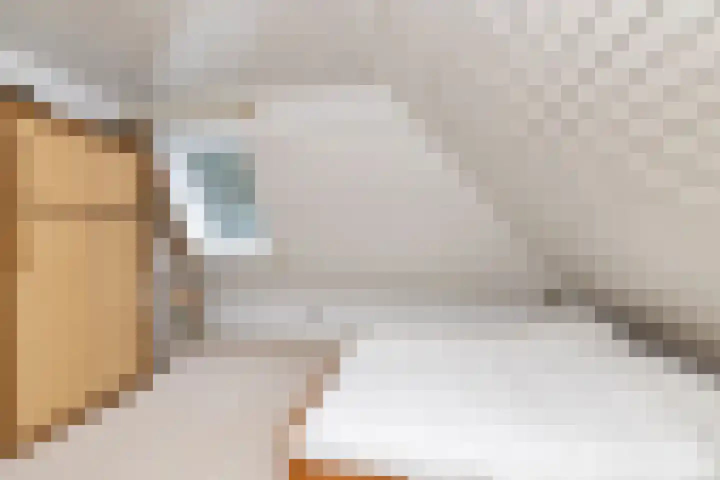 Het Hoge Holt 23 Hoogeveen thumbnail 34