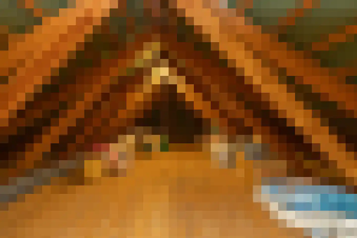 Het Hoge Holt 23 Hoogeveen thumbnail 42