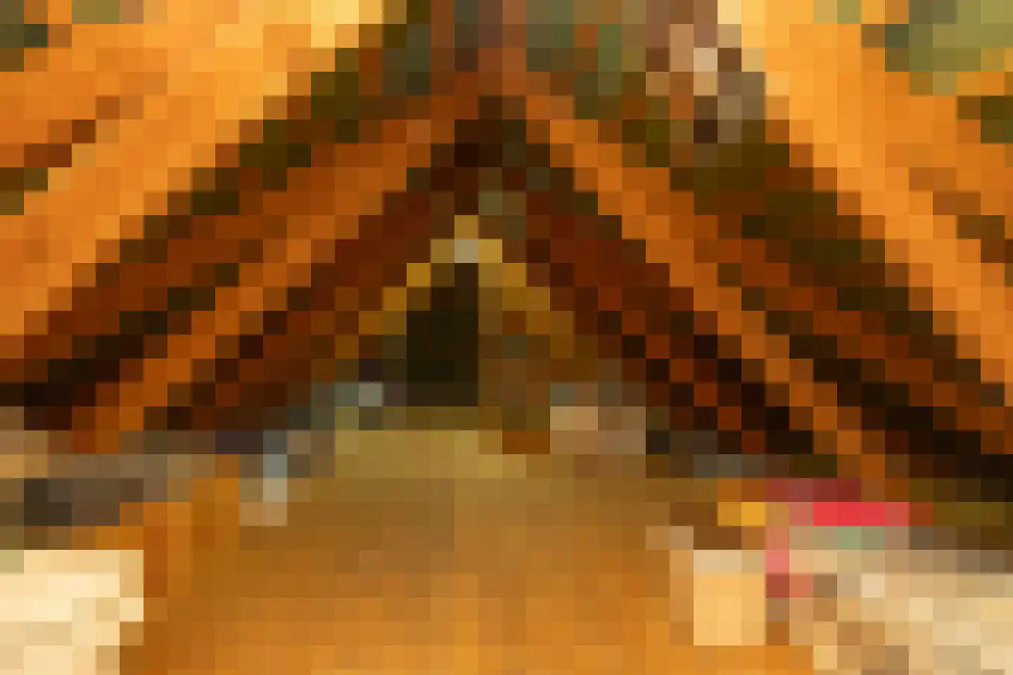 Het Hoge Holt 23 Hoogeveen thumbnail 43