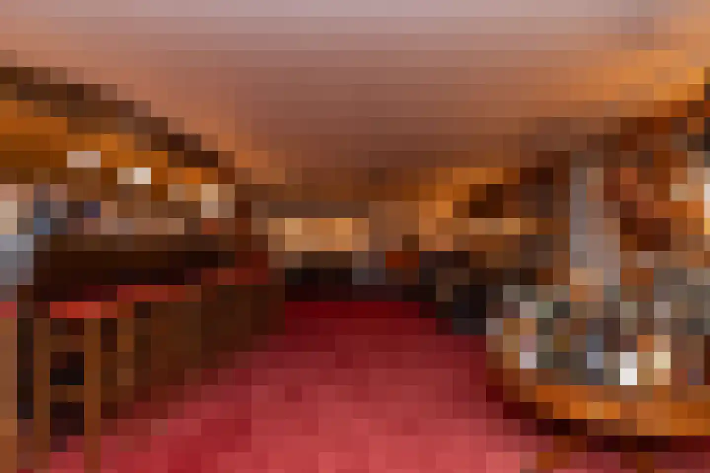 Het Hoge Holt 23 Hoogeveen thumbnail 46