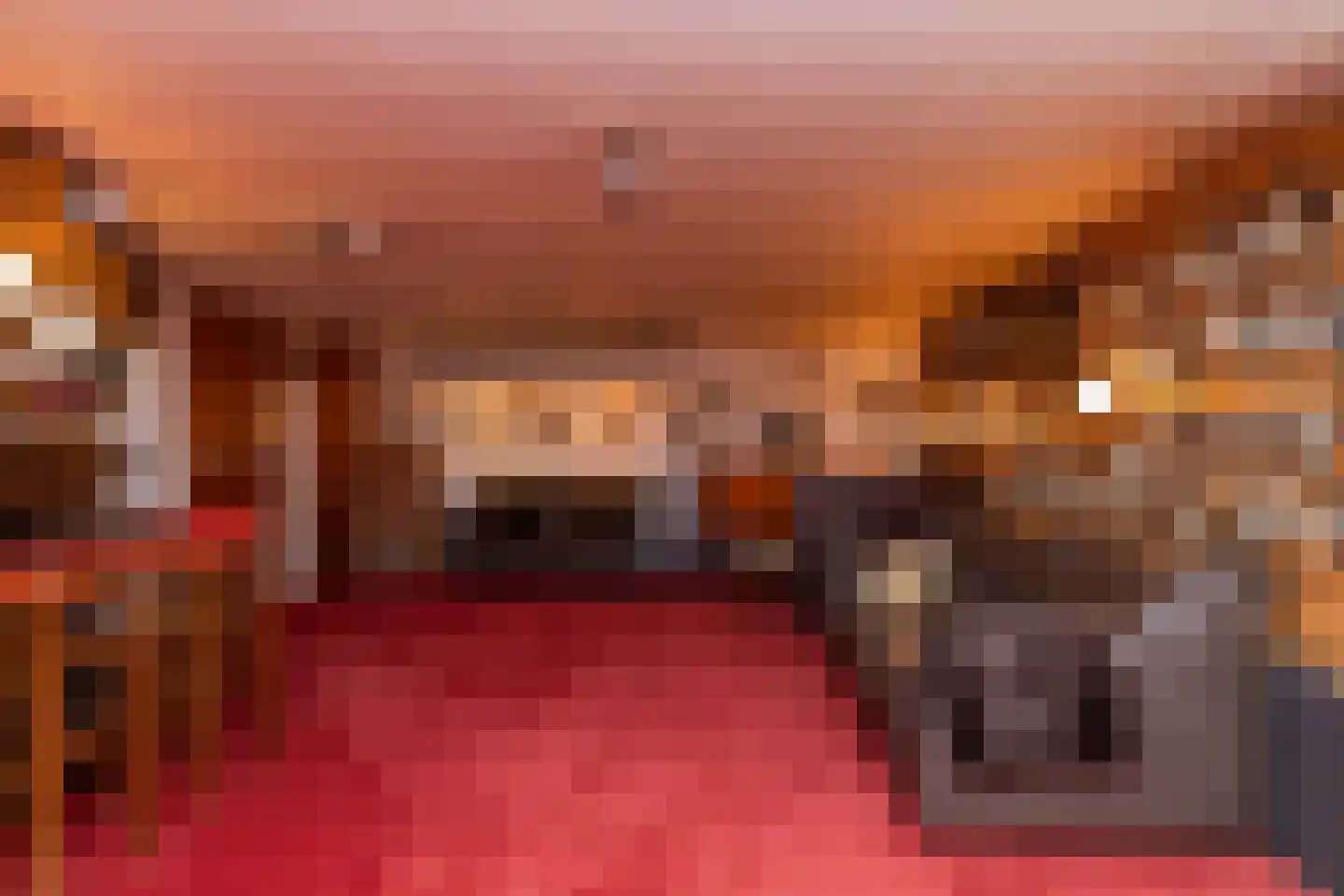 Het Hoge Holt 23 Hoogeveen thumbnail 47