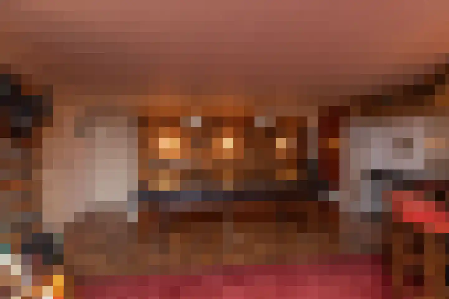 Het Hoge Holt 23 Hoogeveen thumbnail 50
