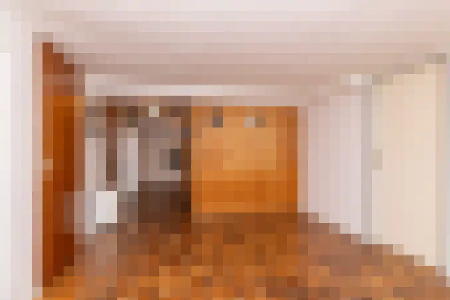 Het Hoge Holt 23 Hoogeveen thumbnail 53